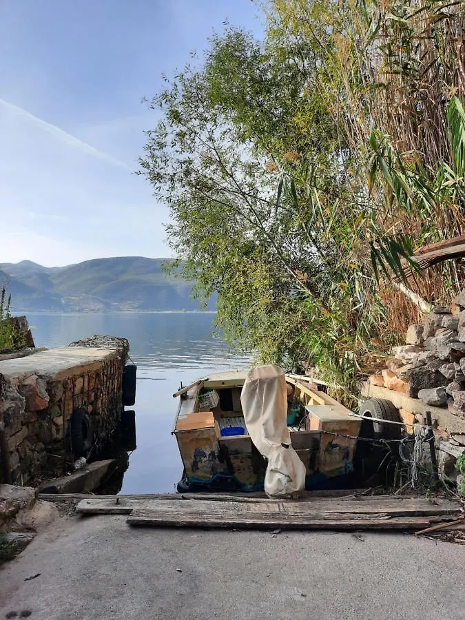Visi'S Home Lin Albania